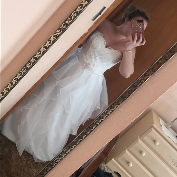 David’s Bridal Wedding Dress - Picture 3 of 3